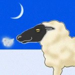 寒い羊